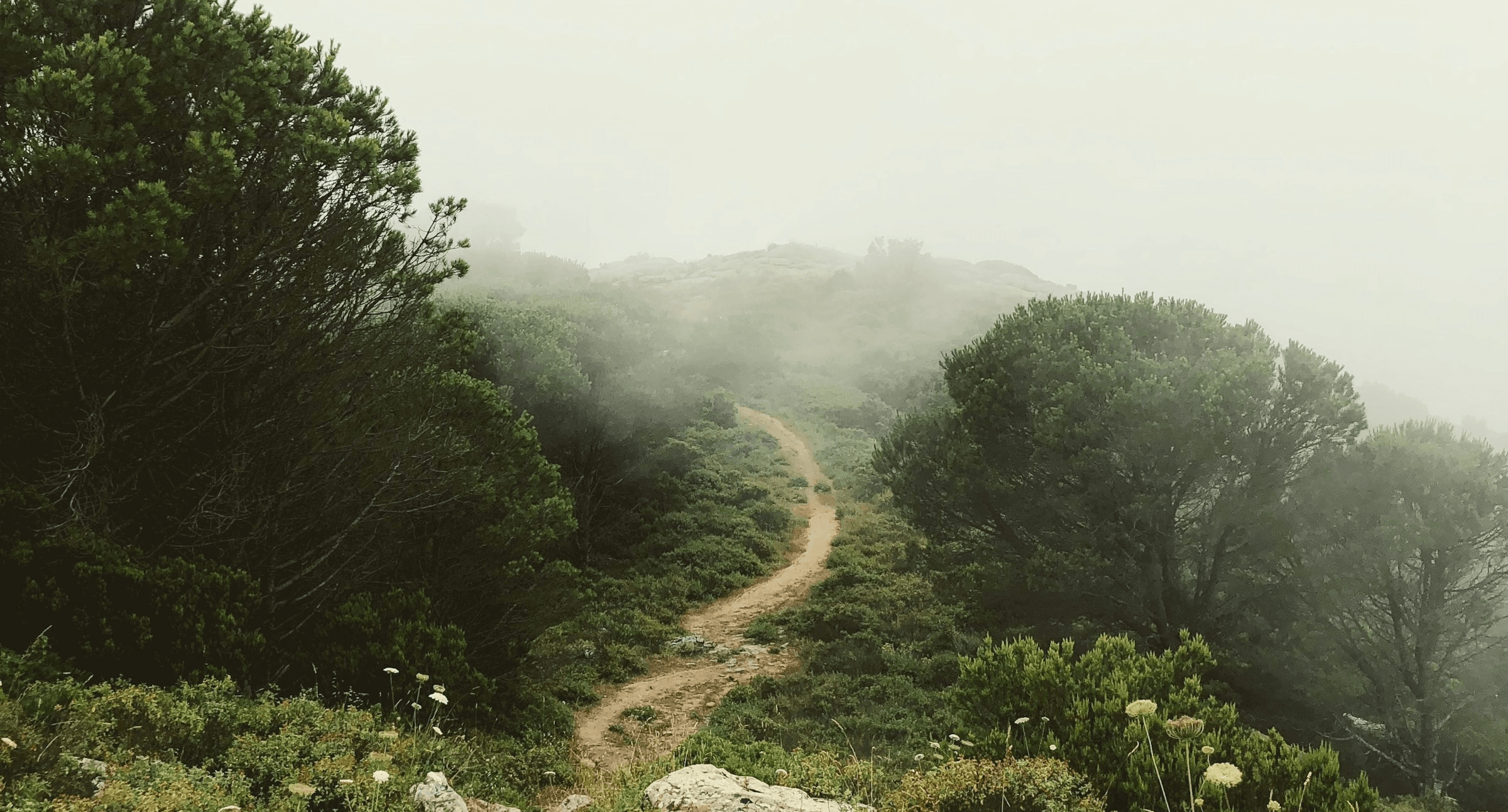 Background image for contact section